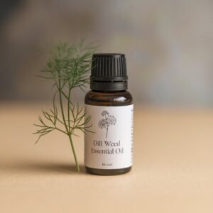 A photo of Dill Weed Essential Oil bottle with a label. The label has the text Dill Weed Essential Oil. There is a piece of Dill Weed next to the bottle.