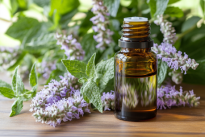 Balm-Mint-Bush-Essential-Oil-is-derived-from-the-Australian-native-shrub-Prostanthera-melissifolia-commonly-known-as-Balm-Mint-Bush