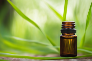 Citronella essential oil is extracted from different species of lemongrass