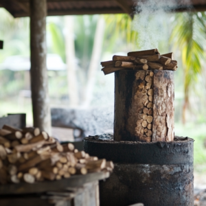 the cinnamon-leaf tree the oil is extracted via steam distillation