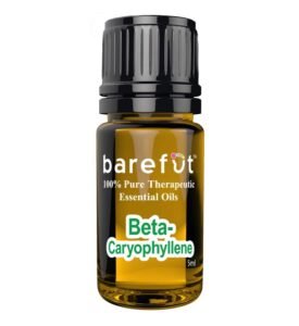 Beta-Caryophyllene-Essential-Oil-5ml-Barefut