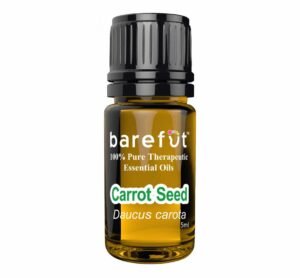 Carrot-Seed-Essential-Oil-5ml-Barefut