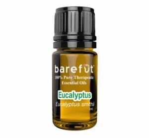 Eucalyptus-Smithii-Essential-Oil-5ml-Barefut