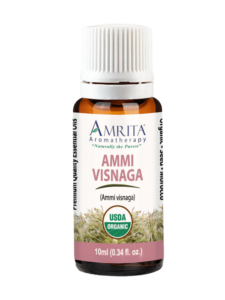 ammi-visnaga-organic-essential-oil-by-amrita