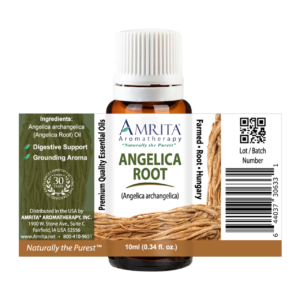 Angelica Root Essential Oil