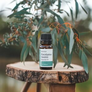 Eucalyptus Smithii Essential Oil