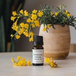 Helichrysum Italicum essential oil