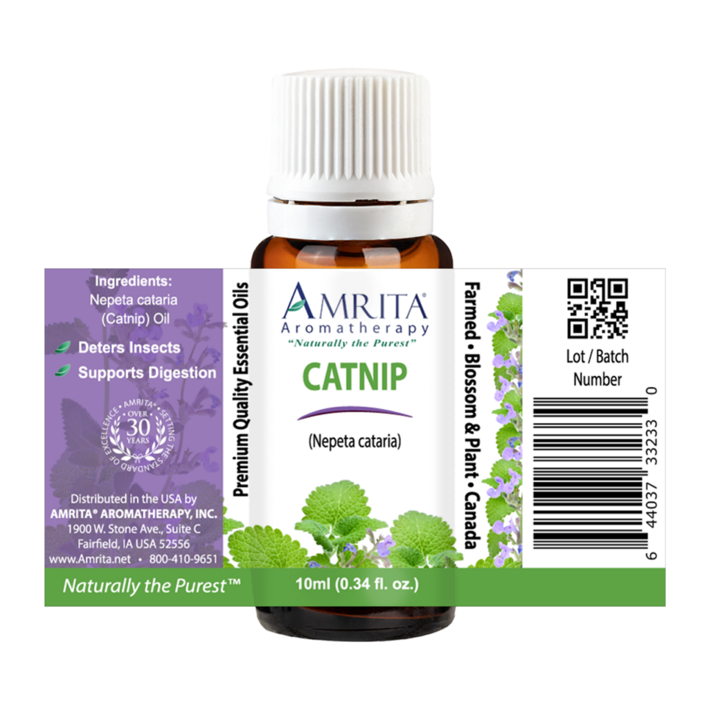 Catnip Essential Oil