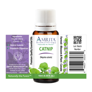 Catnip Essential Oil