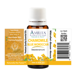 Chamomile Moroccan Blue Tansy Essential Oil