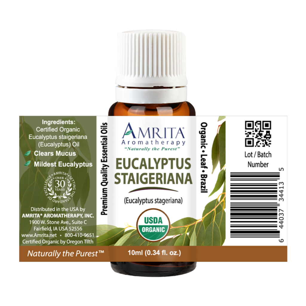 Eucalyptus Staigeriana Organic Essential Oil