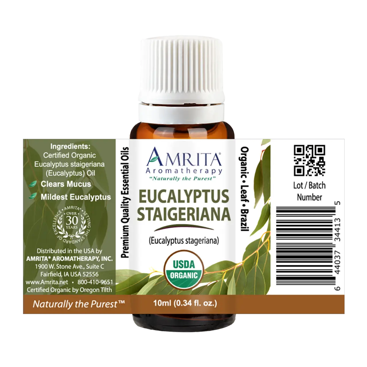 Eucalyptus Staigeriana Organic Essential Oil by Amrita