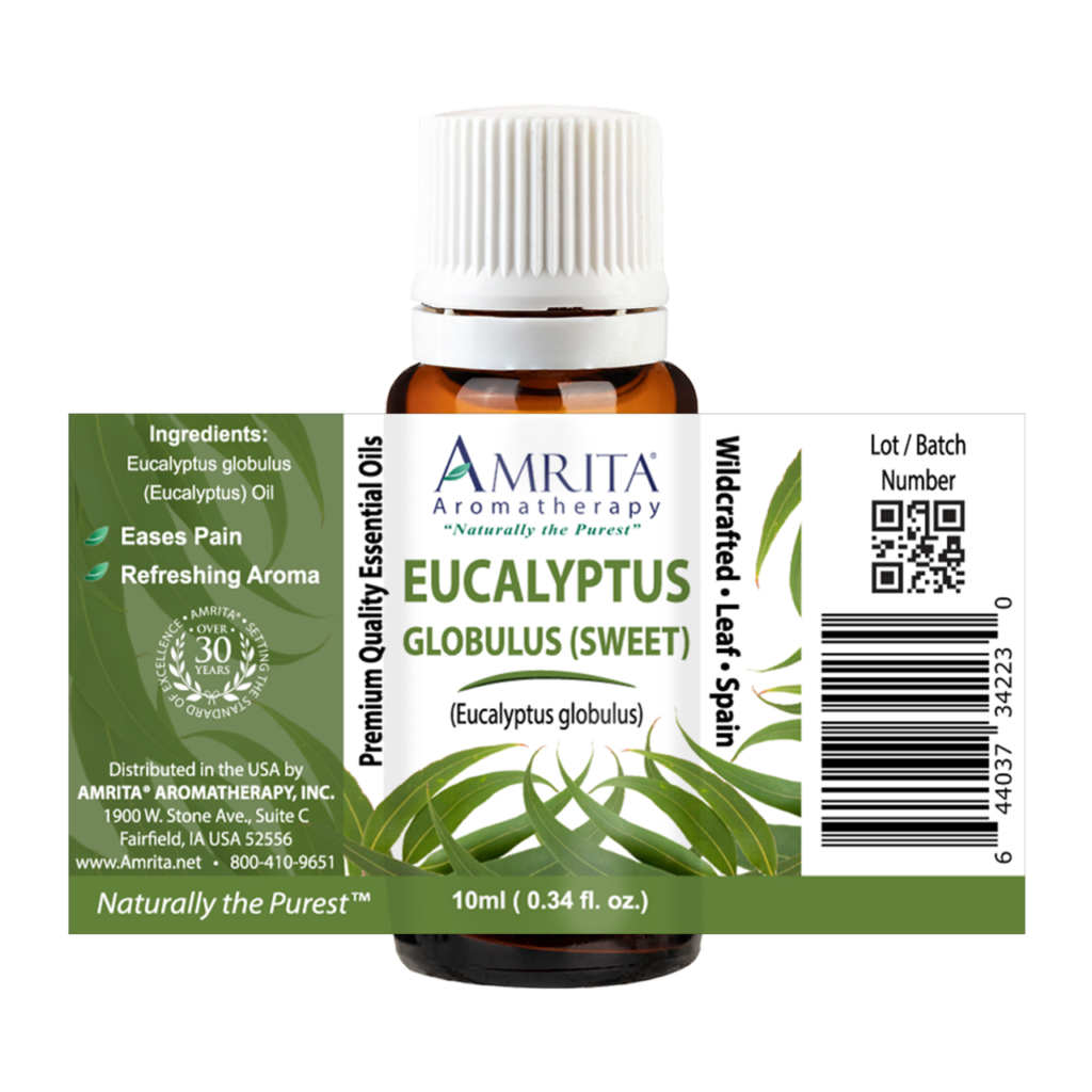 Eucalyptus Sweet Globulus Essential Oil