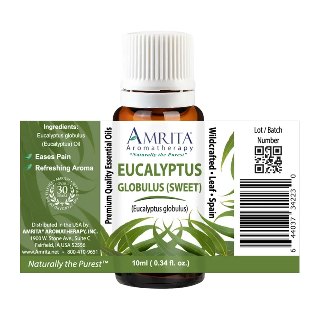 Eucalyptus Sweet Globulus Essential Oil