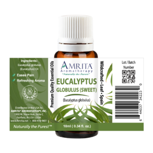 Eucalyptus Sweet Globulus Essential Oil