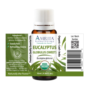 Eucalyptus Sweet Globulus Organic Essential Oil