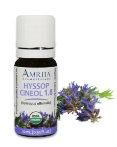 Hyssop Cineol 1.8 Organic Essential Oil