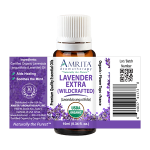 Lavender Extra French Wildcrafted Organic