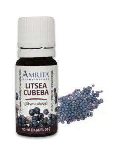 Litsea Cubeba Essential Oil