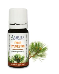 Pine Sylvestre Essential Oil