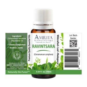 Ravintsara Essential Oil