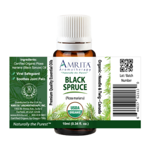 Spruce Black Organic Essential Oil